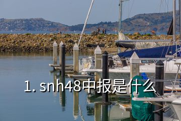 1. snh48中报是什么