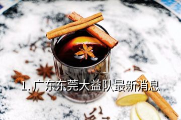 1. 广东东莞大益队最新消息