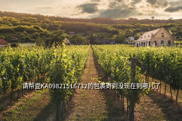 请帮查KA09821516732的包裹寄到没现在到哪儿了