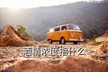 酒精浓度指什么