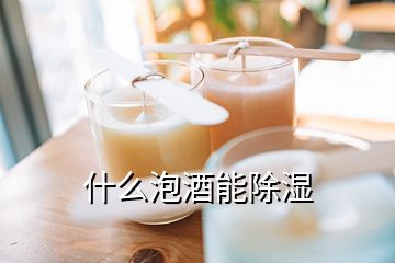 什么泡酒能除湿