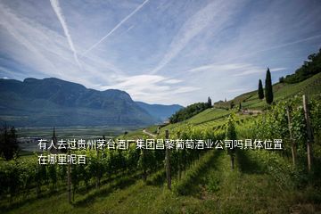 有人去过贵州茅台酒厂集团昌黎葡萄酒业公司吗具体位置在哪里呢百