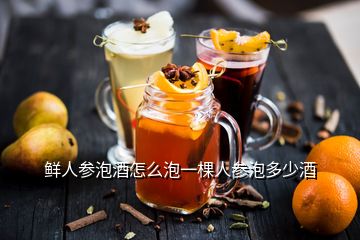 鲜人参泡酒怎么泡一棵人参泡多少酒