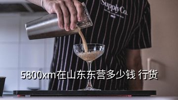 5800xm在山东东营多少钱 行货