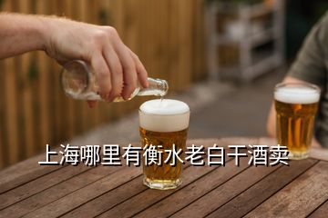 上海哪里有衡水老白干酒卖