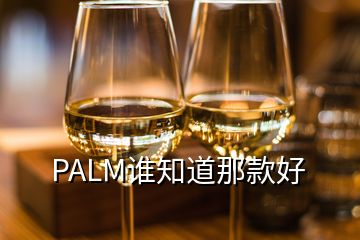 PALM谁知道那款好