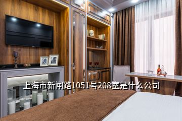 上海市新闸路1051号208室是什么公司