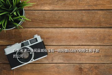广东省湛江徐闻县城有没有一间叫做658WY网络交易平台的公司