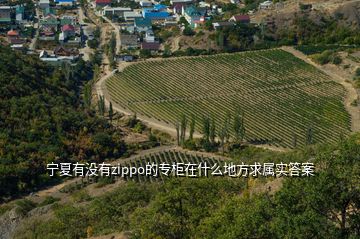 宁夏有没有zippo的专柜在什么地方求属实答案