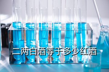 二两白酒等于多少红酒