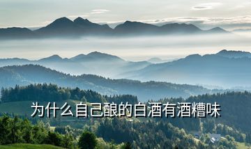 为什么自己酿的白酒有酒糟味