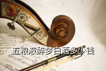 五粮液醉梦白酒多少钱