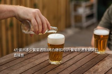 4斤能出多少葡萄酒啊8两白糖够吗5斤葡萄呢酒发酵好后直接放