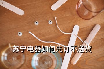 苏宁电器如何先订不送货