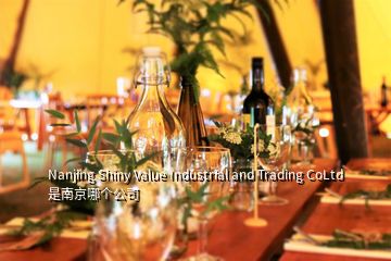 Nanjing Shiny Value Industrial and Trading CoLtd 是南京哪个公司