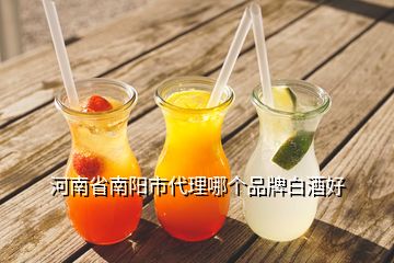 河南省南阳市代理哪个品牌白酒好