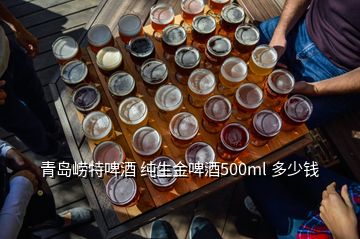 青岛崂特啤酒 纯生金啤酒500ml 多少钱