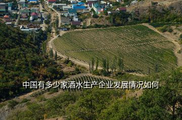 中国有多少家酒水生产企业发展情况如何