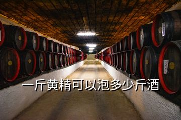 一斤黄精可以泡多少斤酒