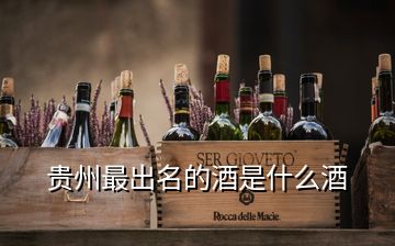 贵州最出名的酒是什么酒
