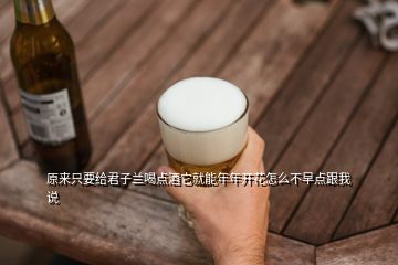 原来只要给君子兰喝点酒它就能年年开花怎么不早点跟我说