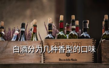 白酒分为几种香型的口味