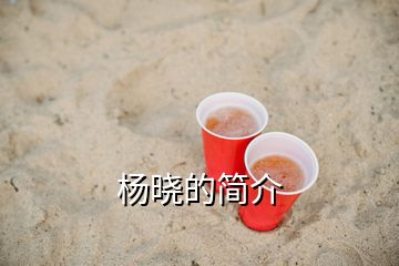 杨晓的简介