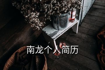 南龙个人简历