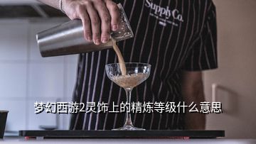 梦幻西游2灵饰上的精炼等级什么意思