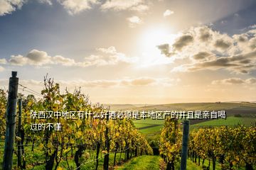 陕西汉中地区有什么好酒必须是本地区产的并且是亲自喝过的不懂