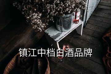 镇江中档白酒品牌