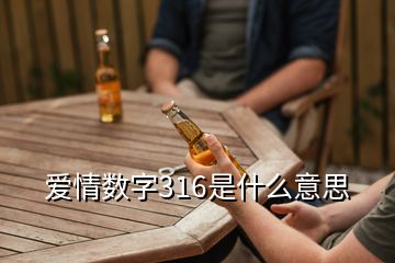 爱情数字316是什么意思