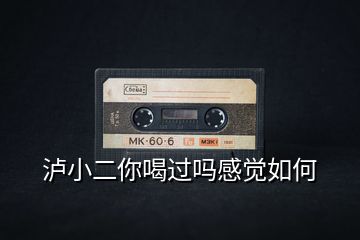泸小二你喝过吗感觉如何
