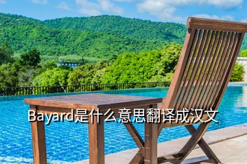 Bayard是什么意思翻译成汉文