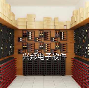 兴邦电子软件