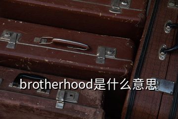brotherhood是什么意思