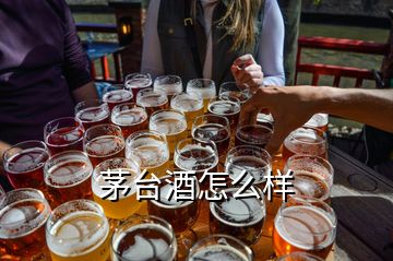 茅台酒怎么样