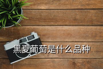黑夏葡萄是什么品种