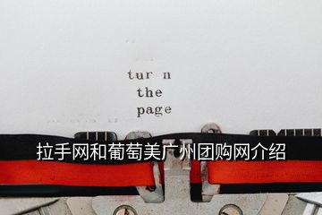 拉手网和葡萄美广州团购网介绍