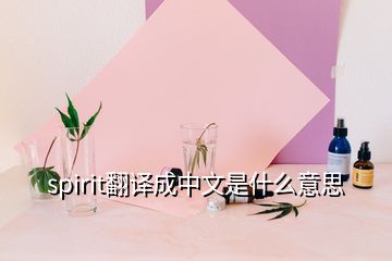 spirit翻译成中文是什么意思