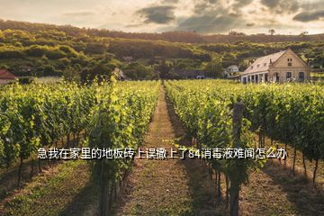 急我在家里的地板砖上误撒上了84消毒液难闻怎么办