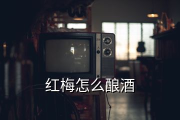 红梅怎么酿酒