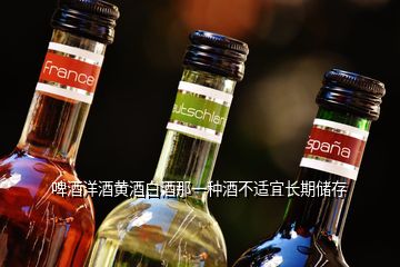 啤酒洋酒黄酒白酒那一种酒不适宜长期储存