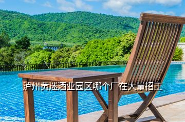 泸州黄迷酒业园区哪个厂在大量招工