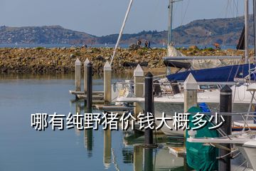 哪有纯野猪价钱大概多少