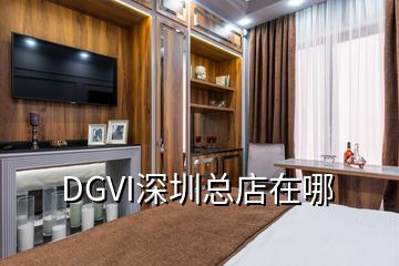DGVI深圳总店在哪