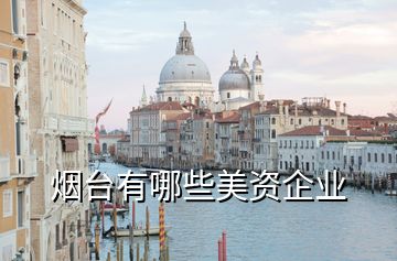 烟台有哪些美资企业
