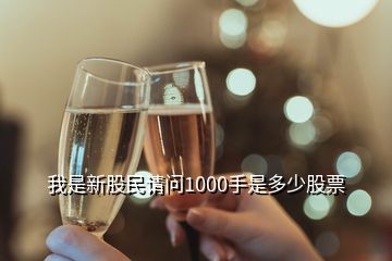 我是新股民请问1000手是多少股票