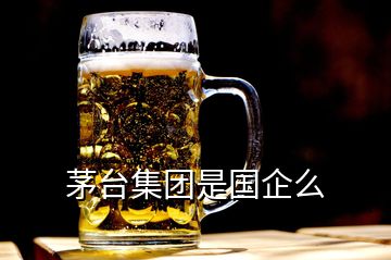 茅台集团是国企么