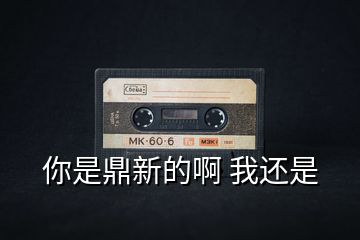 你是鼎新的啊 我还是